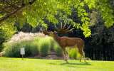Perigord_2021_32