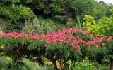 Perigord_2021_59