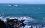 BRETAGNE-AVRIL-2024_15