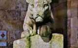 Poitiers07