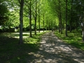 Pre-Boulay01