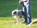 IMG_7158_DxO
