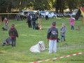 IMG_7177_DxO