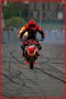 stunt31