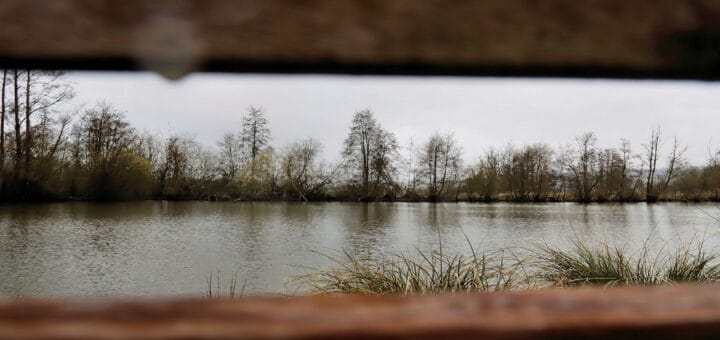 Étang des Tourbières, Saint Pierre Es Champs, Pays de Bray