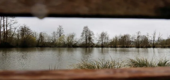 Étang des Tourbières, Saint Pierre Es Champs, Pays de Bray