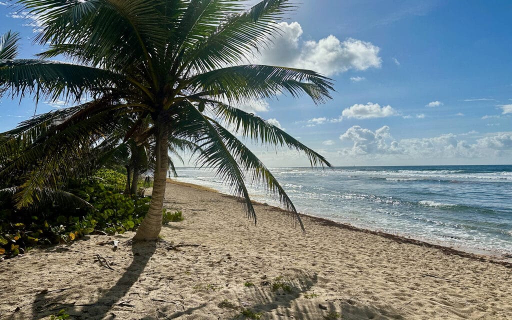 Guadeloupe