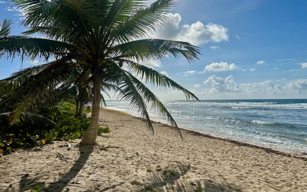 Guadeloupe