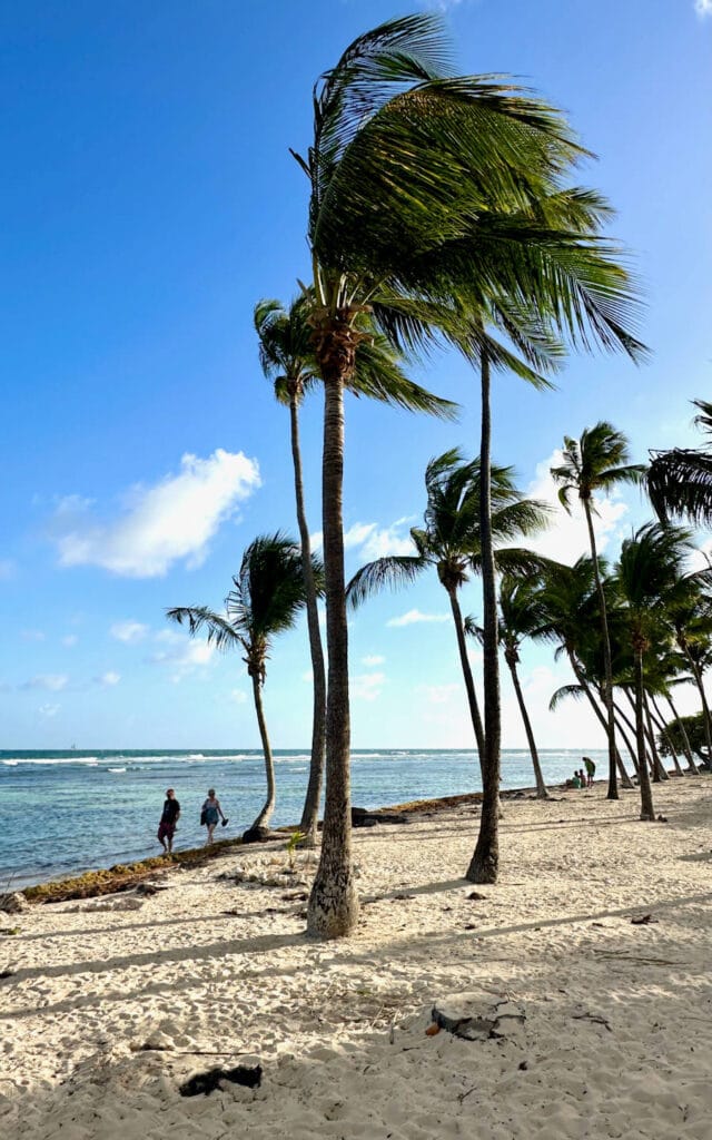 Guadeloupe
