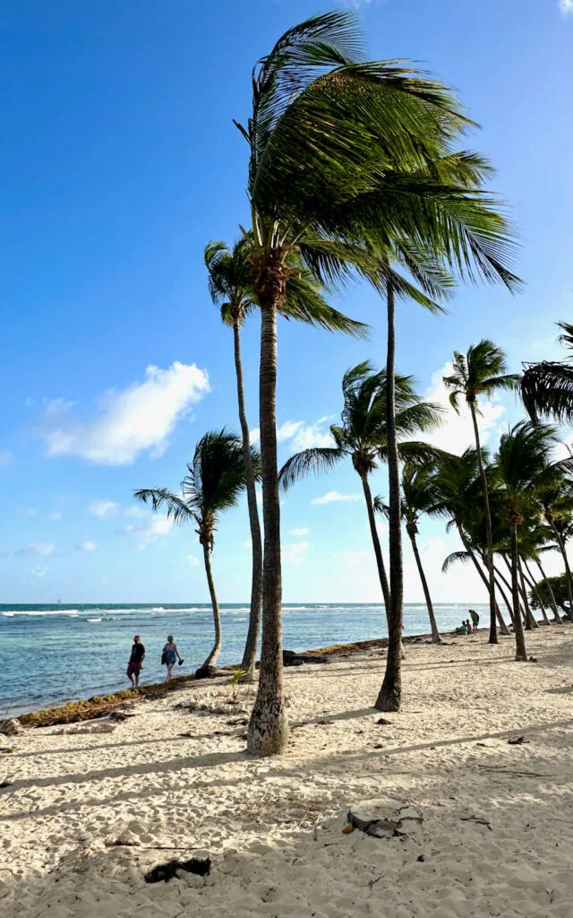 Guadeloupe