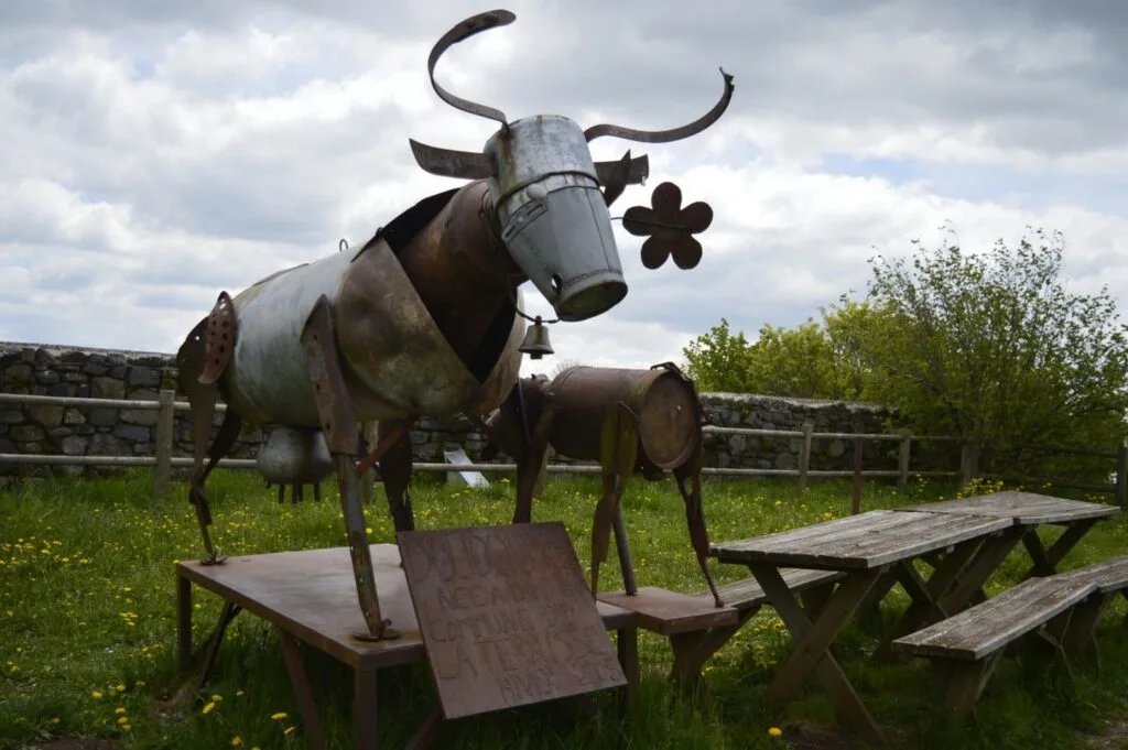 transhumance, aubrac, aveyron, occitanie