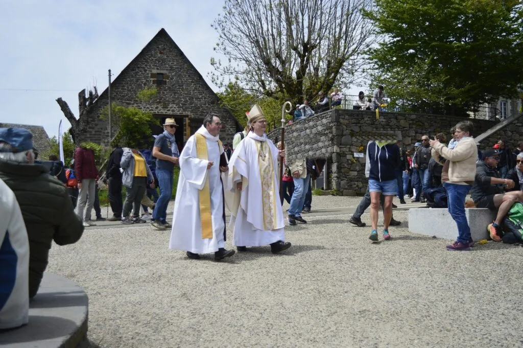 transhumance, aubrac, aveyron, occitanie