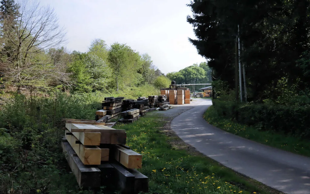 hêtre, lyons la forêt, eure, normandie
