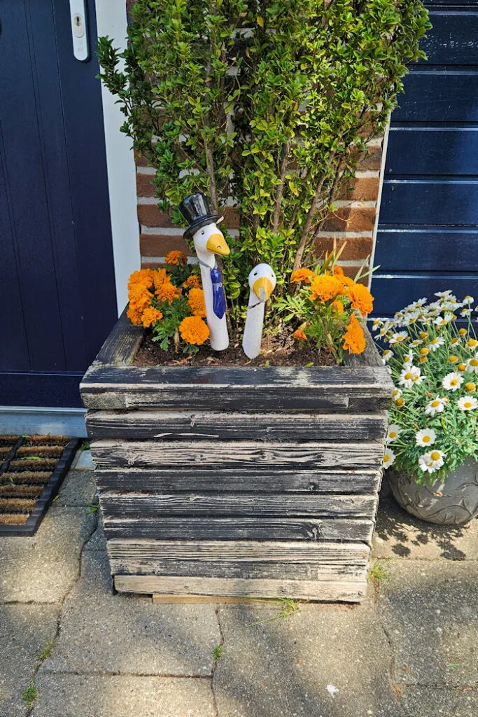 Marken, Pays-bas