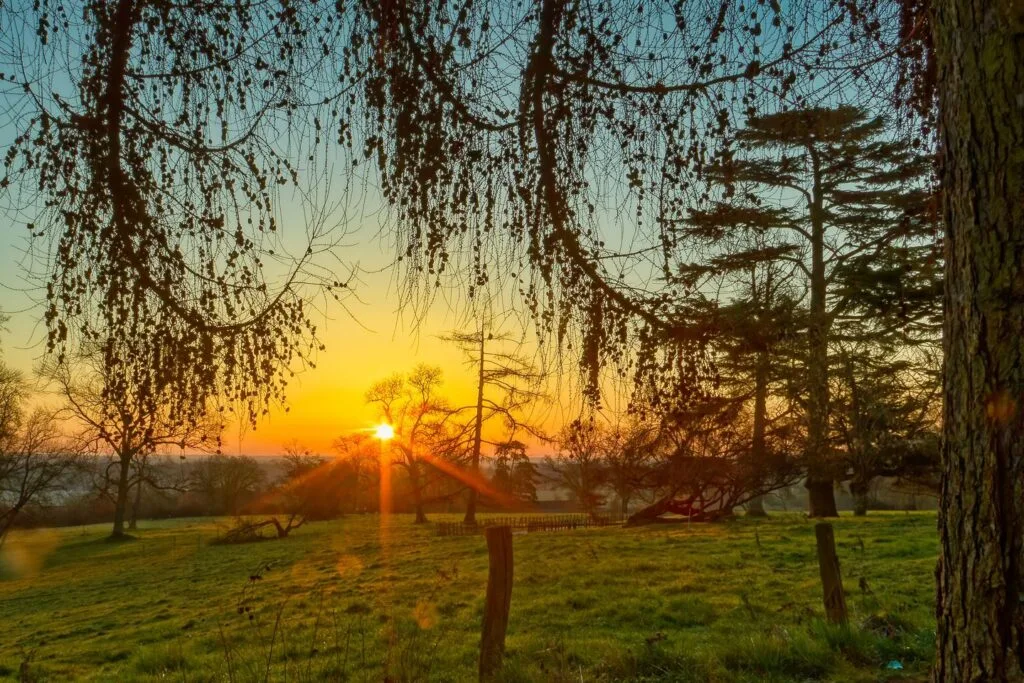 24 - Soleil entre les branches – Lever de soleil rayonnant à travers les feuilles