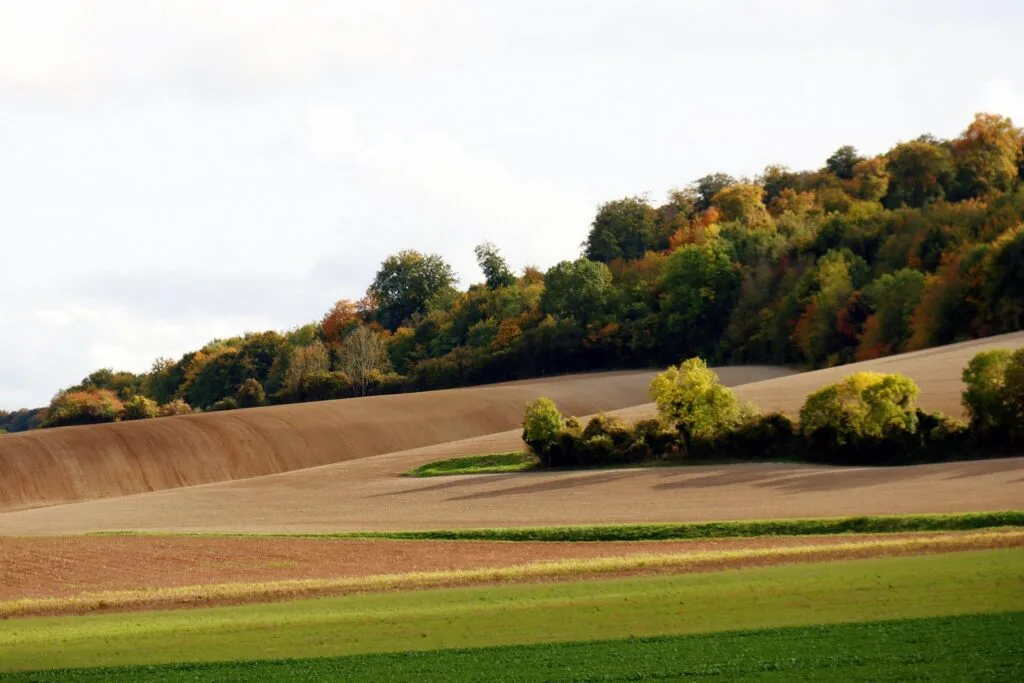 30 - Vallons de rousseur – Courbes de terre et forêt d'automne