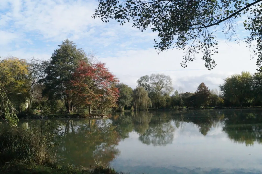 33 - Miroir d'eau automnal – Reflets roux sur la surface d'un étang