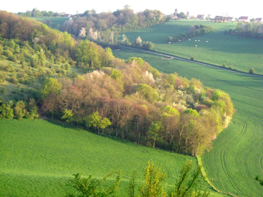 34 - Coteaux Sainte-Hélène – Vagues verdoyantes du paysage brayon