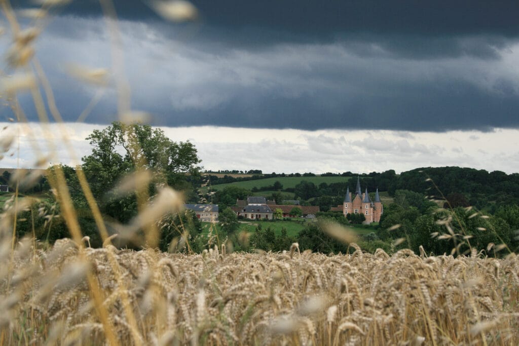 7 - Château des blés – Silhouette seigneuriale derrière les épis