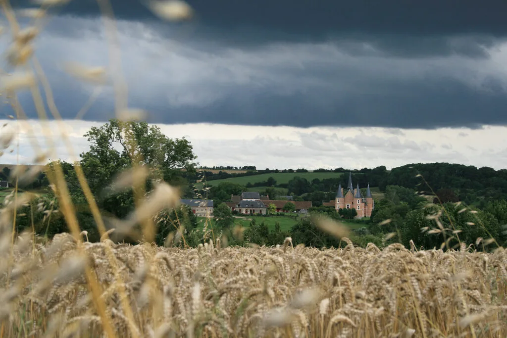 7 - Château des blés – Silhouette seigneuriale derrière les épis